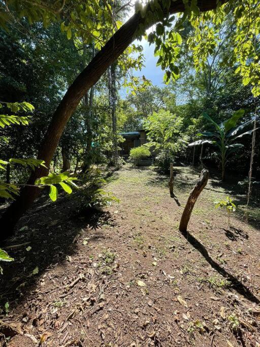 Villa Magica Cabana En Medio Del Bosque En Isla Venado Lepanto Exterior foto