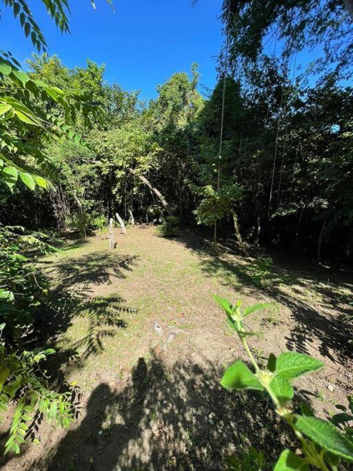 Villa Magica Cabana En Medio Del Bosque En Isla Venado Lepanto Exterior foto